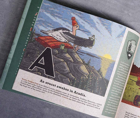 NATIONAL PARKS A TO Z: ADVENTURE FROM ACADIA TO ZION! - D'ANGELO, GUS